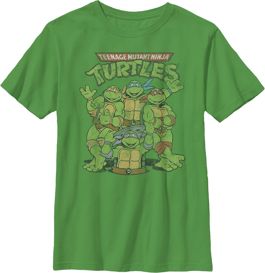 Boys Youth Teenage Mutant Ninja Turtles Shirt product image 1