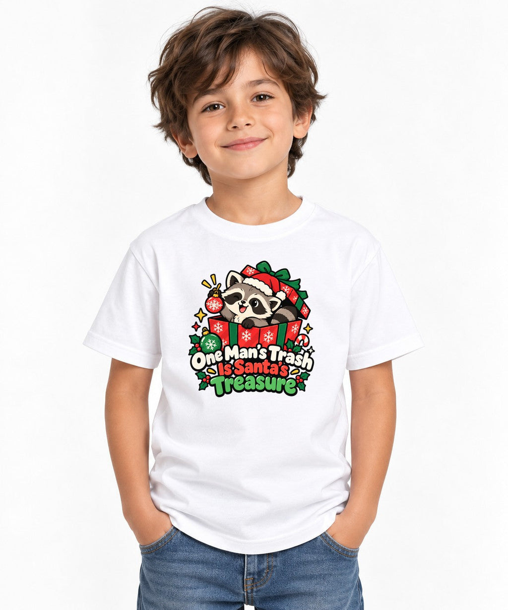 Santa's Treasure Raccoon product image 1