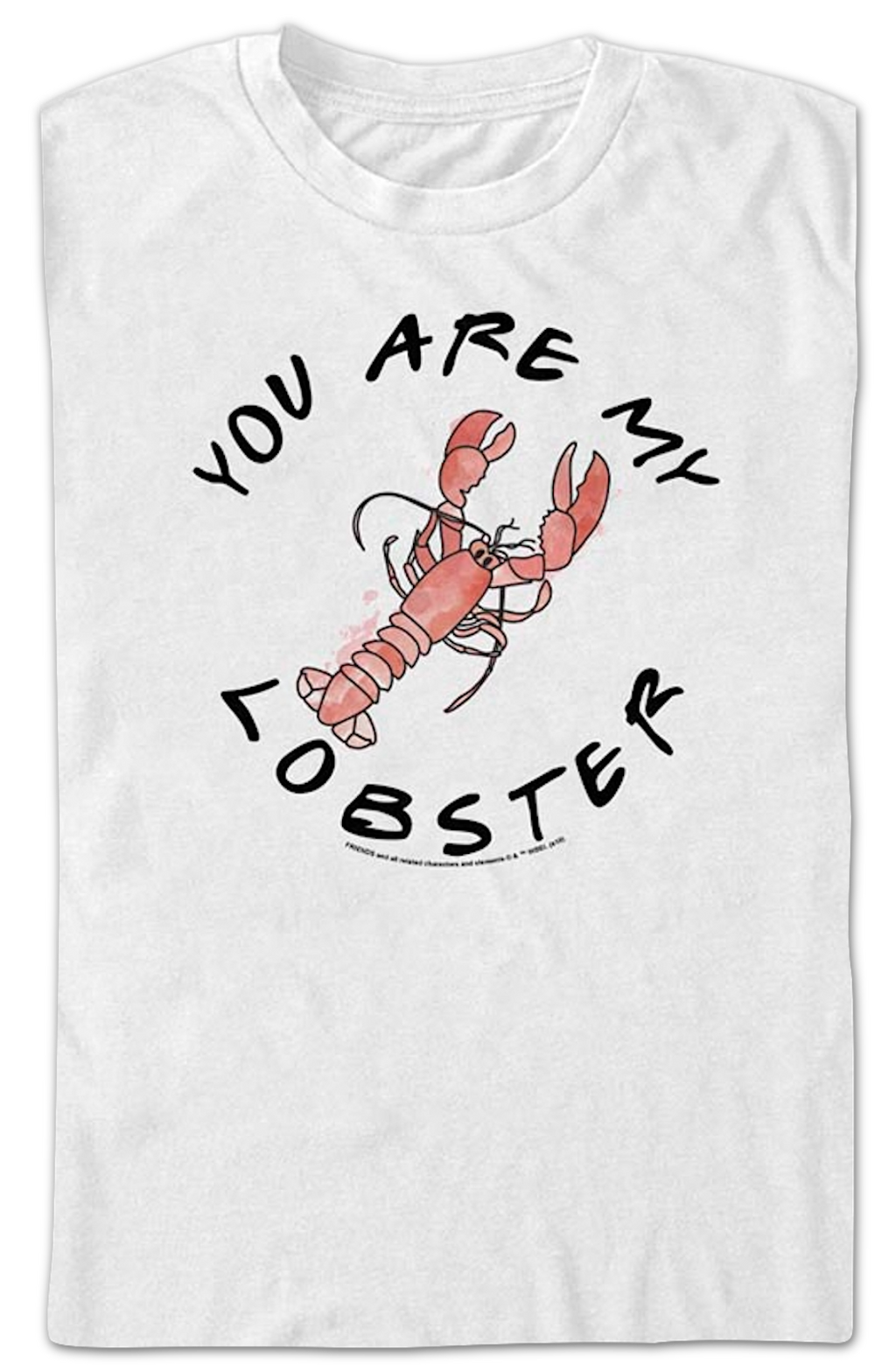 You Are My Lobster Friends T-Shirt product image 2