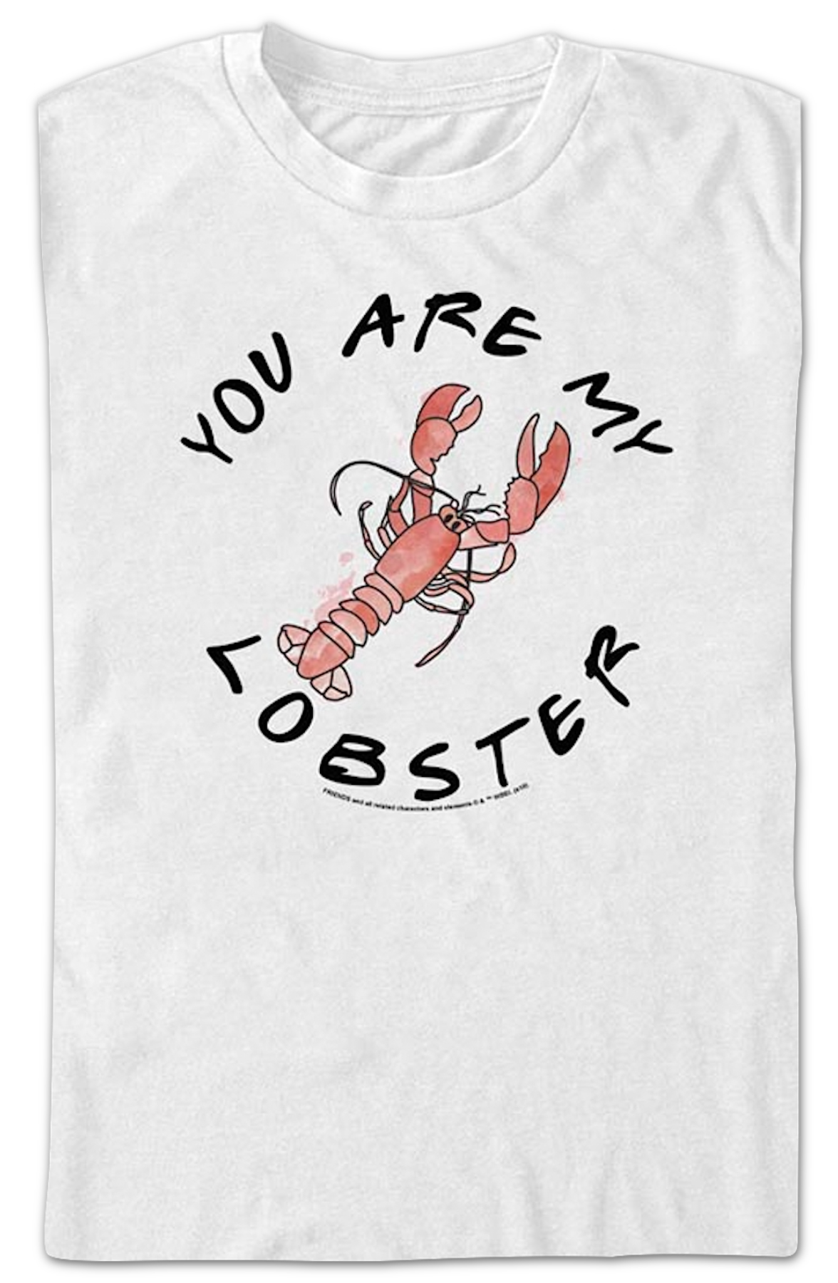 You Are My Lobster Friends T-Shirt product image 2