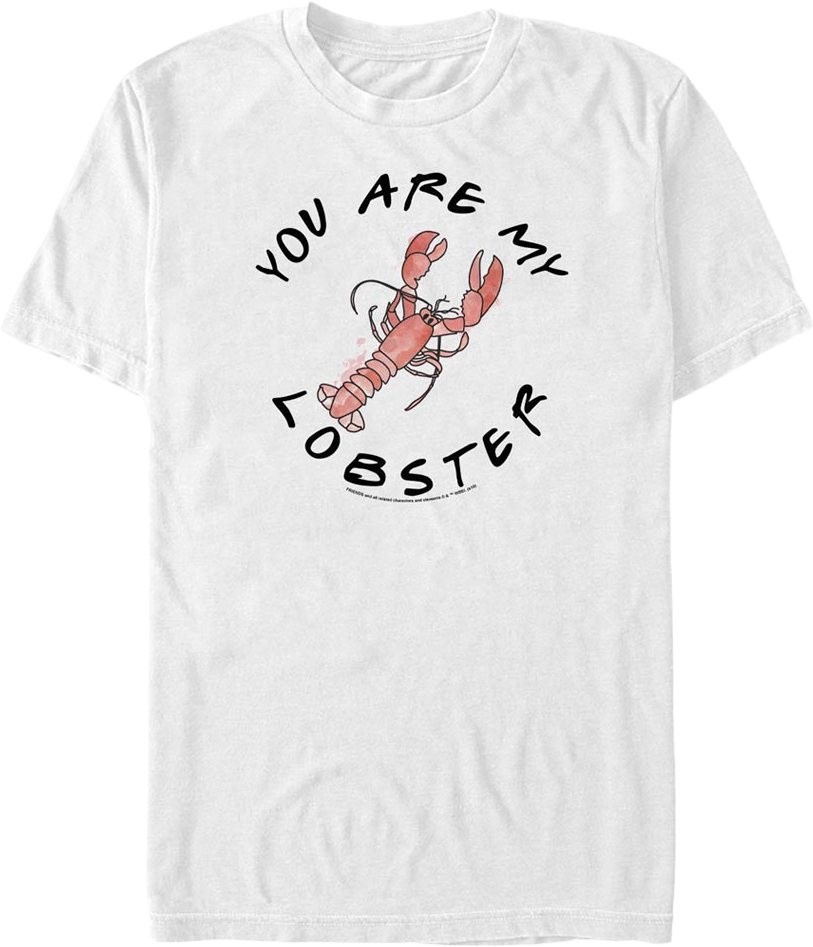 You Are My Lobster Friends T-Shirt product image 1